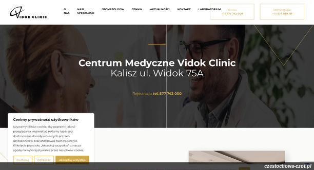 vidok-clinic
