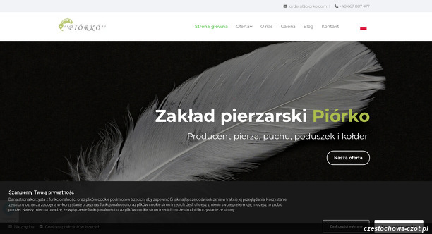 piorko-skup-i-sprzedaz-pierza-import-export-tomasz-lewandowski